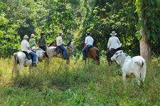 Costa Rica-Pacific Coast-Conquistadores Odyssey Explorer